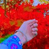 user761187134