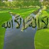 fatitlm665