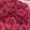 hajar92_33