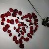 oanh.oanh256