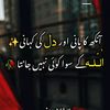 user099649068