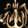 user8698070805209