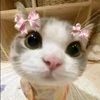 strawbbaiess_688