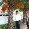 farsuramtiwari