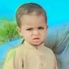 malikibrar8076gmai
