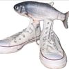 the_cool.fish