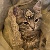 princess.of.islam1936
