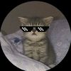 ryqal_dummy