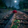 faizmuhammad4749