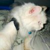 nurul_afifah324