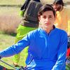 m.amir2893