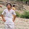 ziwranafridi
