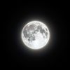 moonr542