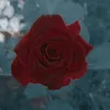 aliducuw1