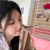 bolinho_wonhee