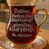 ilk.baharim.014