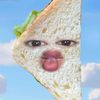 bqbestari11