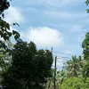 dapihyuw