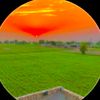 malik.haroon4316