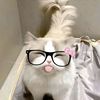 fairuz_nks12