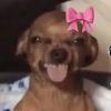 queen_amanda1230