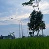 my.clicks30