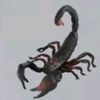 scorpio4918