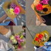 fatima.fati5274