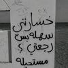 user8811477600358