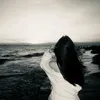 free_butterfly888