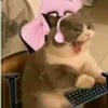antoniajesus5075