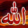 muslimin.fatin