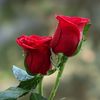 awais.khan.3902