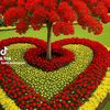 raxmo.maxamed.san