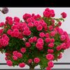 user744981355617