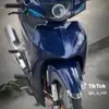 kir36321102439335