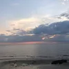 lilly_jjsversion