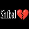 shibal.277