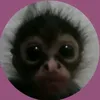 dyyp_re