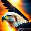 amirat_adalem