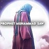 safi_shahid0