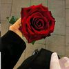 user61269787531457