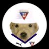 perritoinsano103
