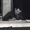 وهَـم ✍️