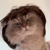 biondi_nohhh