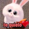 loca31365