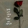 aida9258825746094