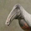Archosir