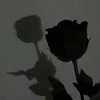 lana3533715