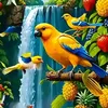 zrmohammed.mohame